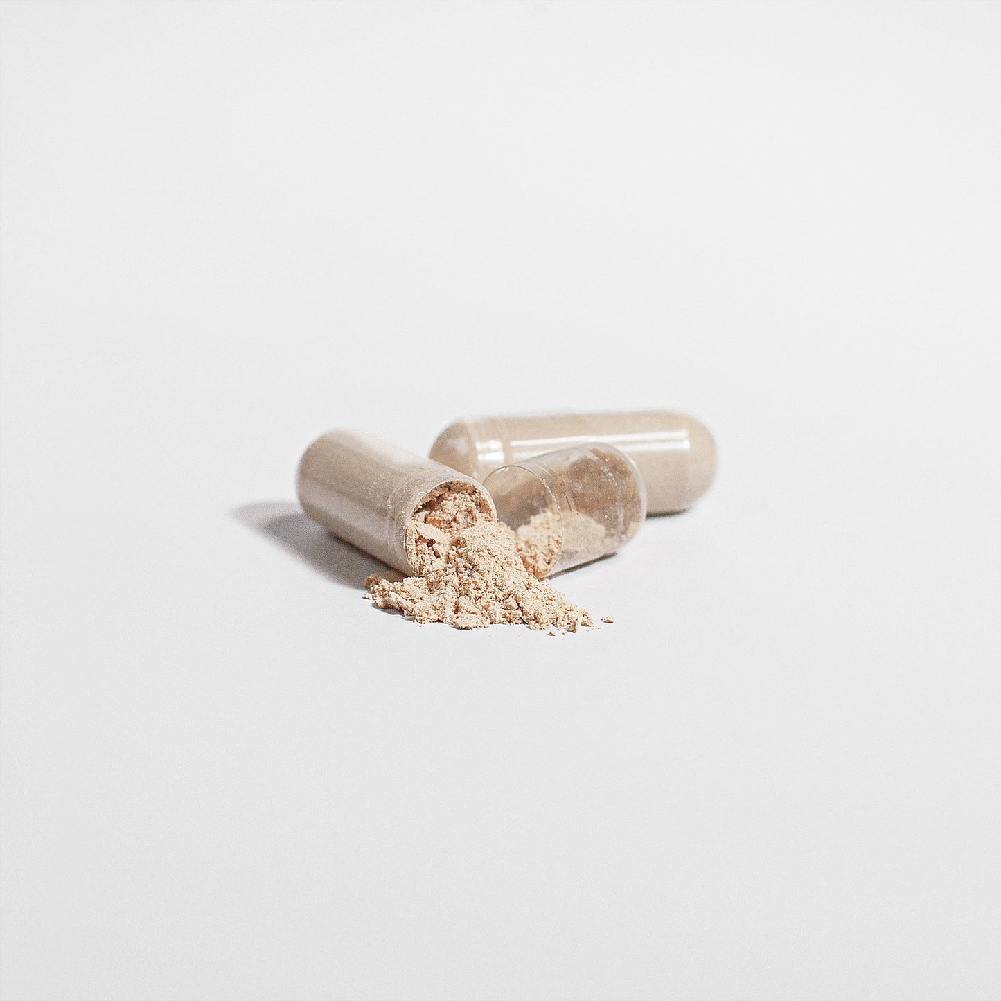 Cordyceps Mushroom (For Blood Types A, B, O and AB)