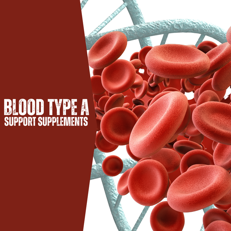 BLOOD TYPE A SUPPORT SUPPLEMENTS