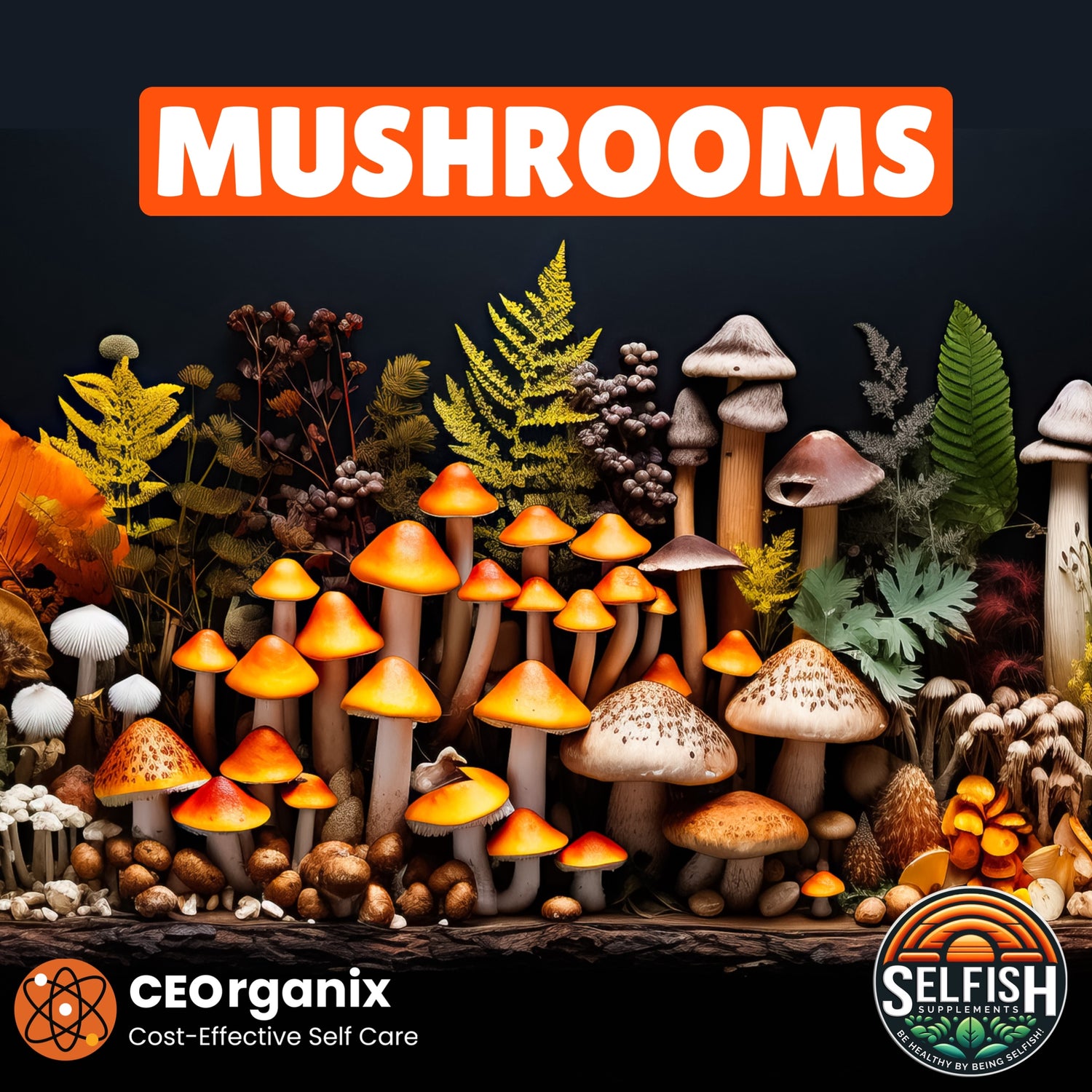 Mushrooms