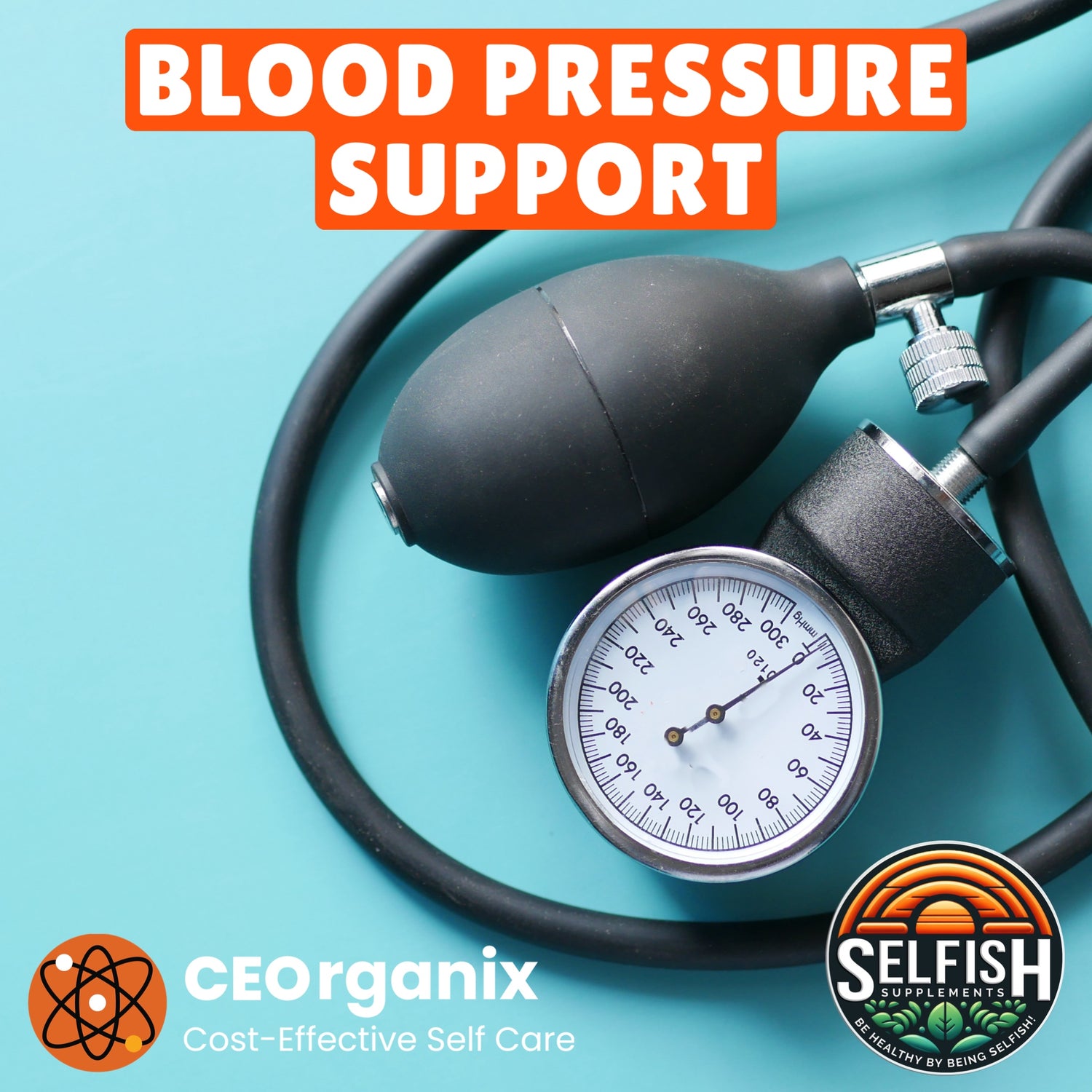 Blood Pressure Support