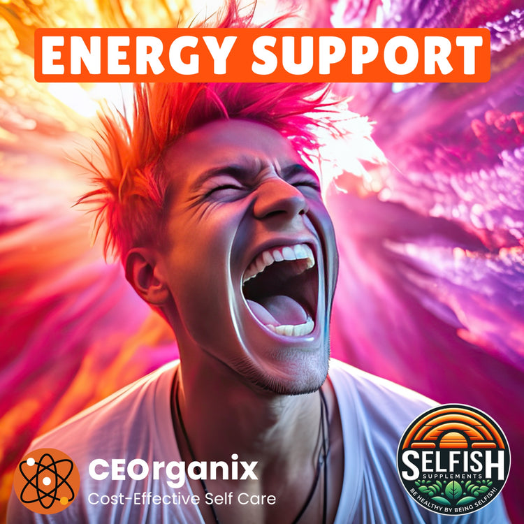 Energy Support