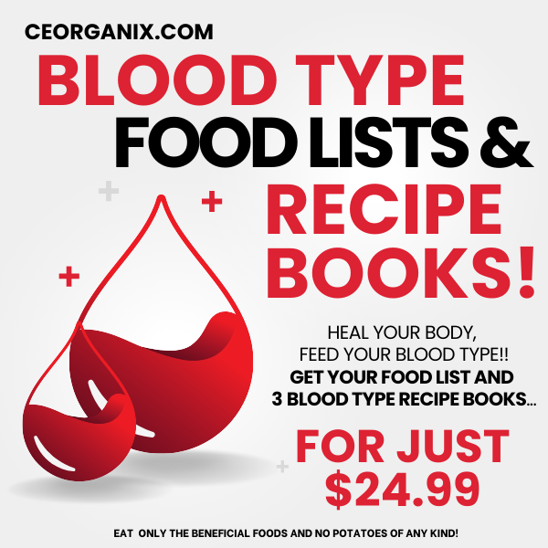 FOOD LISTS AND RECIPE BUNDLES